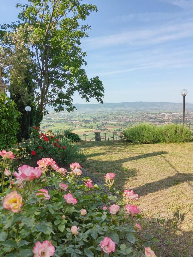 Residenza Messer Pajola Assisi Exteriör bild