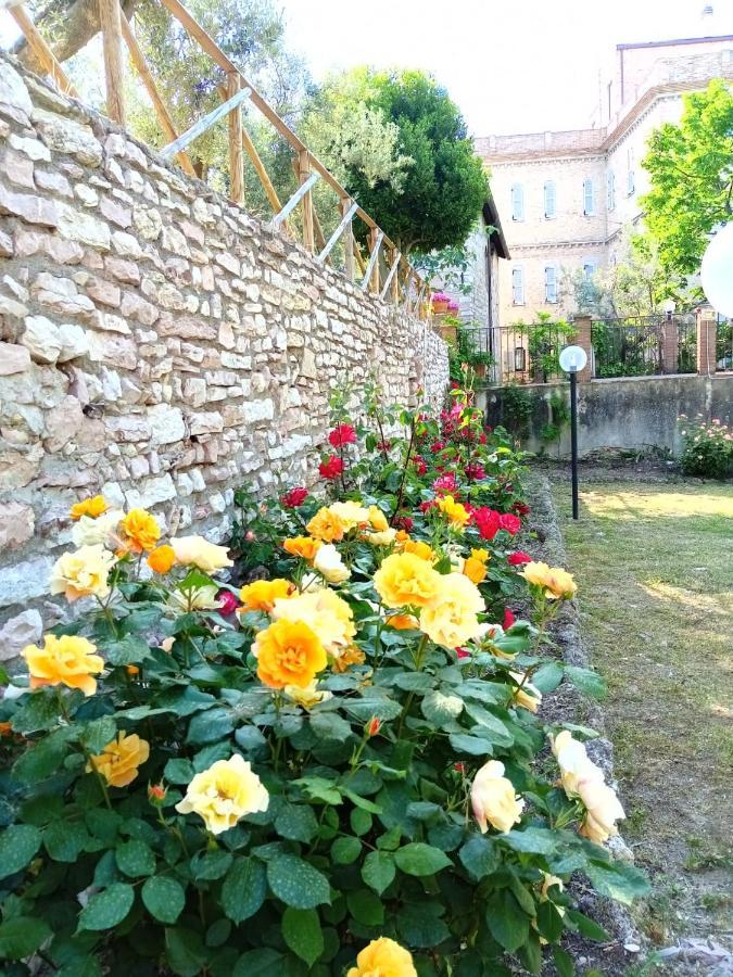 Residenza Messer Pajola Assisi Exteriör bild