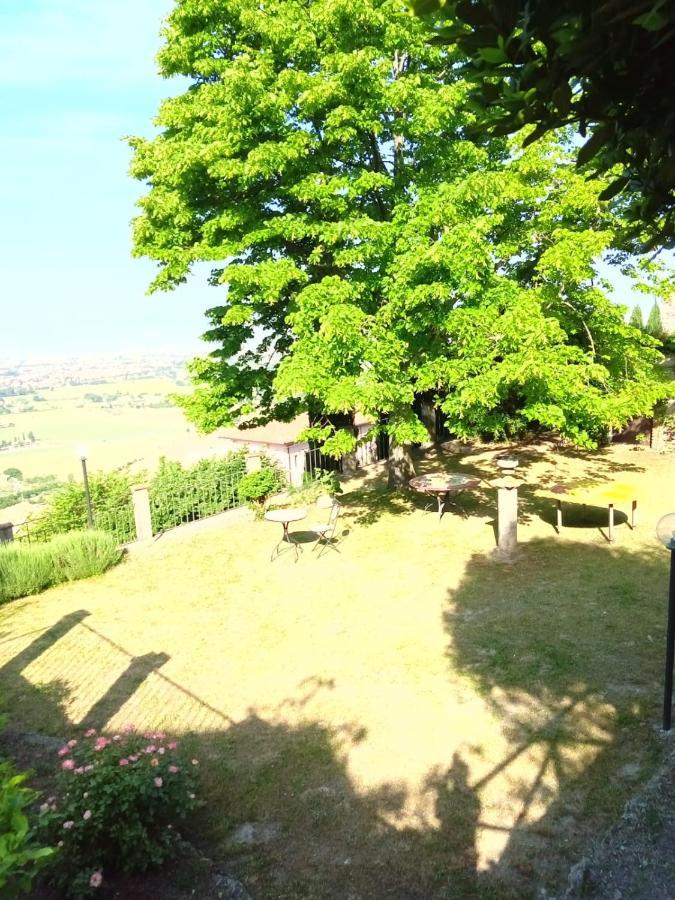 Residenza Messer Pajola Assisi Exteriör bild