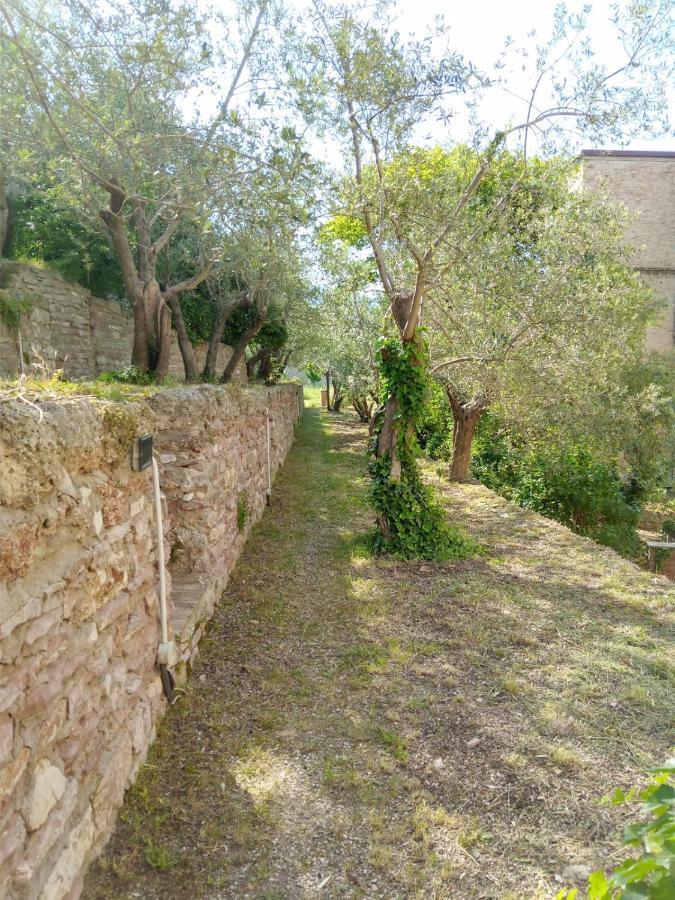 Residenza Messer Pajola Assisi Exteriör bild
